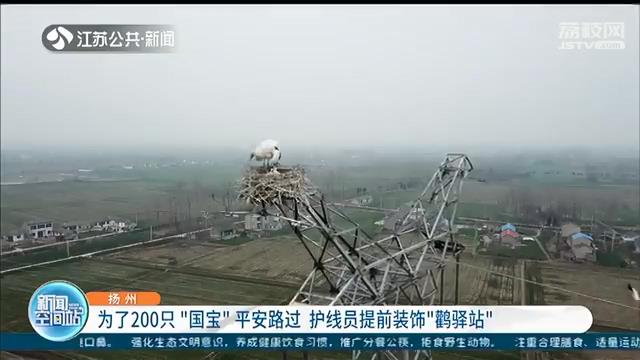 为东方白鹳平安路过不引起跳闸 扬州供电部门护线护鸟措施有一套