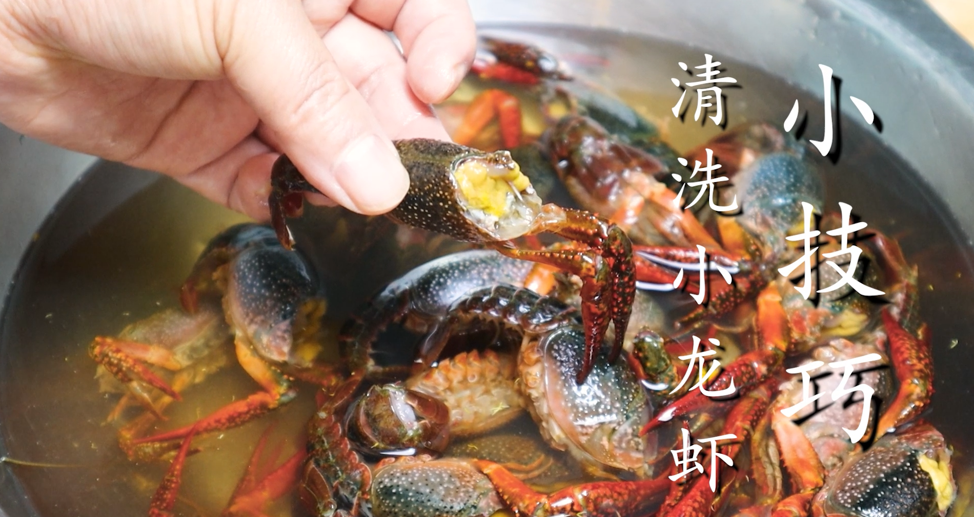 小草地別只用清水洗，等於吃垃圾，教你妙招，臟東西全跑光