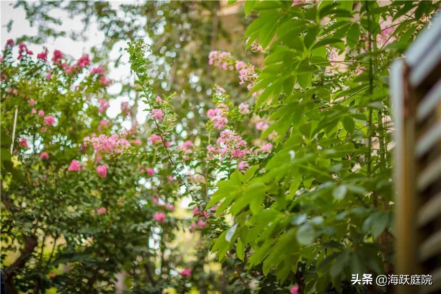 拥有这座浪漫欧式庭院，你就是全小区的焦点