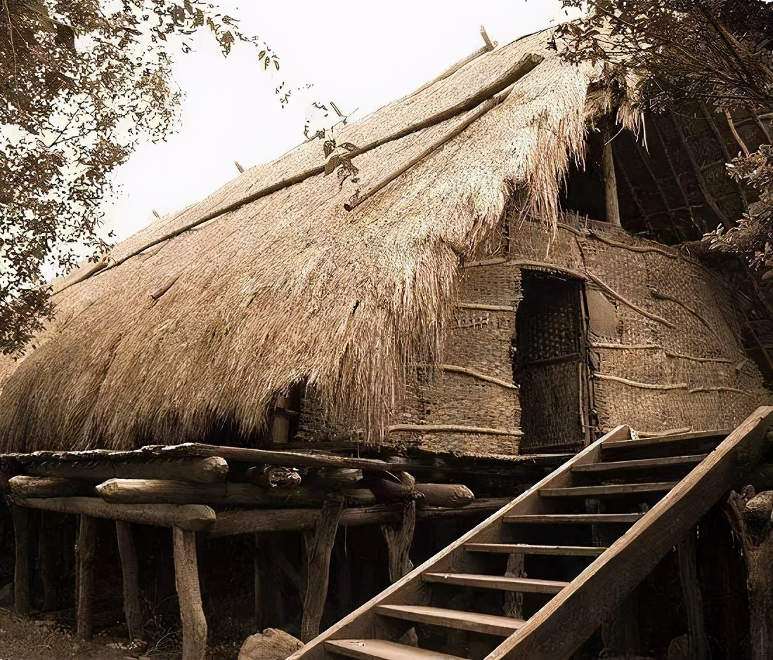 揭密巢居时代的开创者有巢氏的传奇人生