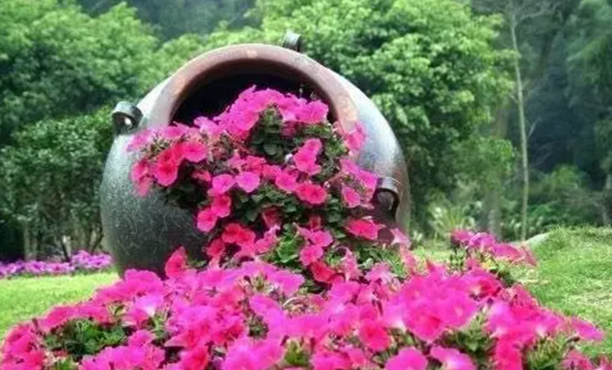 低成本打造高颜值农庄景观