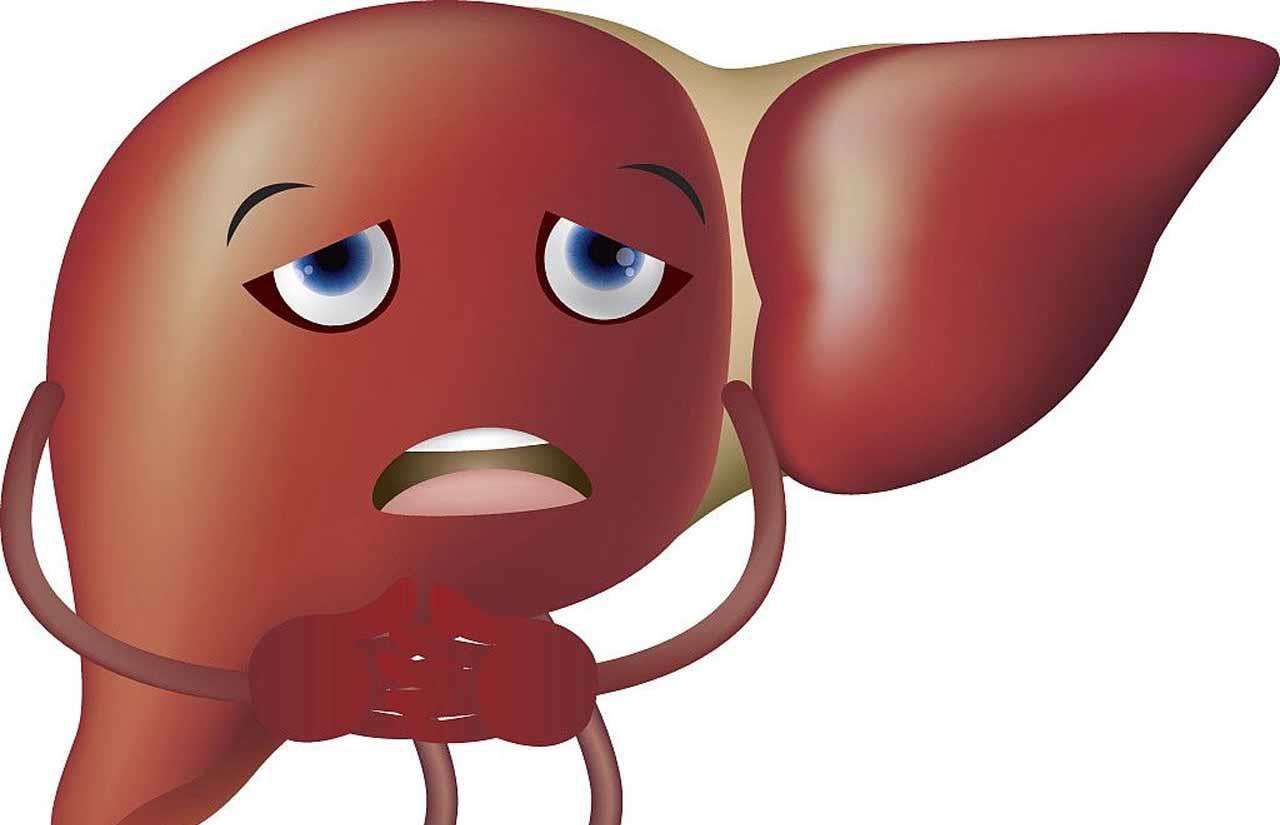 Excessive farting, dark skin, severe hair loss, these 3 symptoms are  manifestations of liver damage - iNEWS