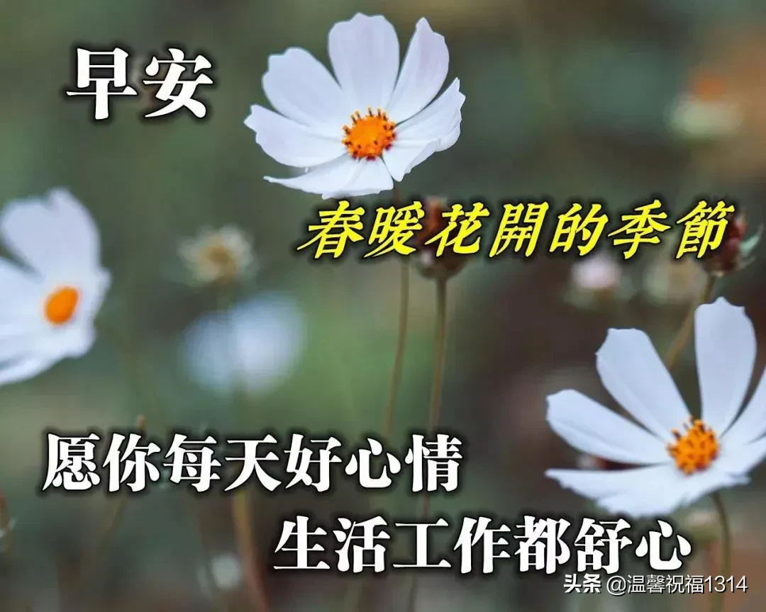 好看的早安图片带字推荐，漂亮的早上好问候语图片图片