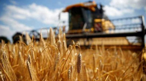 断供牛肉后续，澳正式回击要剥夺华人在澳房产，网友：狗急跳墙