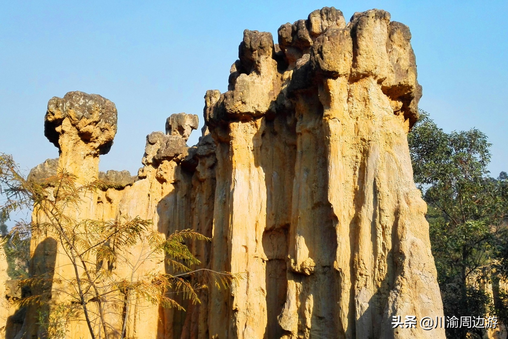 中国四大土林之一，被誉为“四川版美国大峡谷”，门票仅需20元
