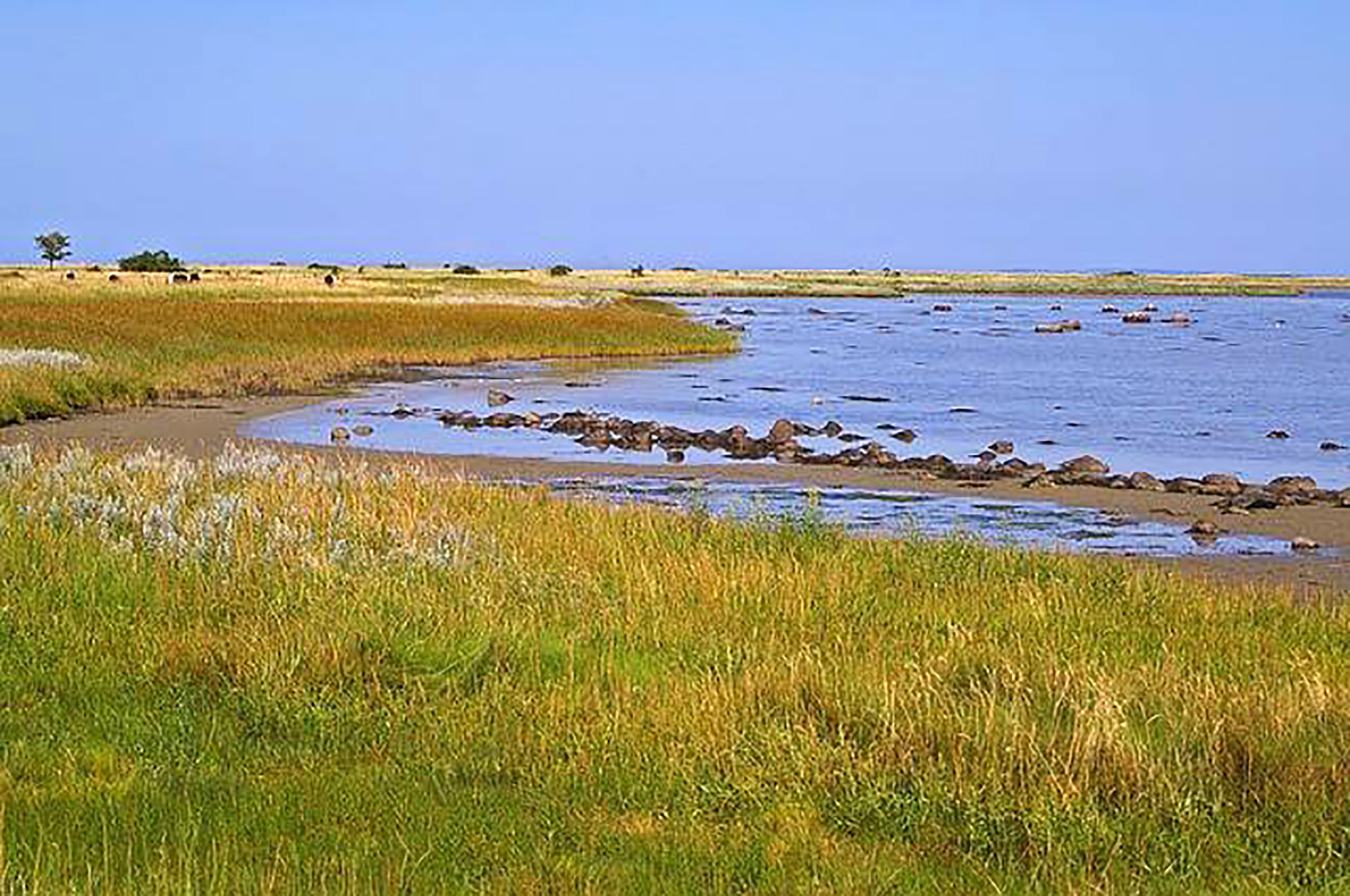 风流处处景,鄱阳湖无论是她的内涵还是她的外表,雄居我国淡水湖之首