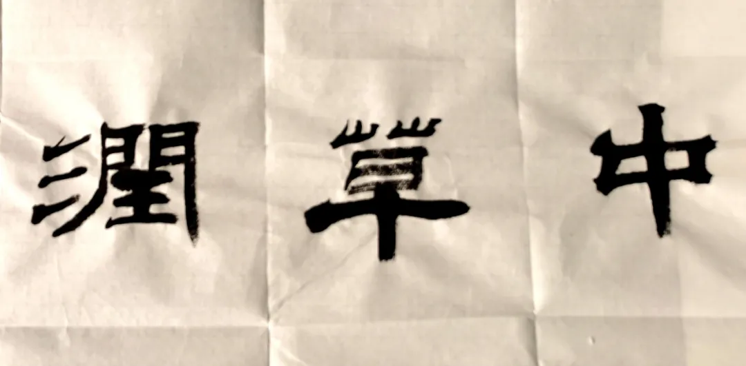 中医思维看口腔,中草润切入朝阳市场,它是什么来头?