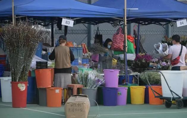 " fast give " do obeisance to ascend: Get ready to strengthen cooperation with China; This harbor " have a background " will enter punishment blame; Li Zhiying Huang Zhifeng today arraign