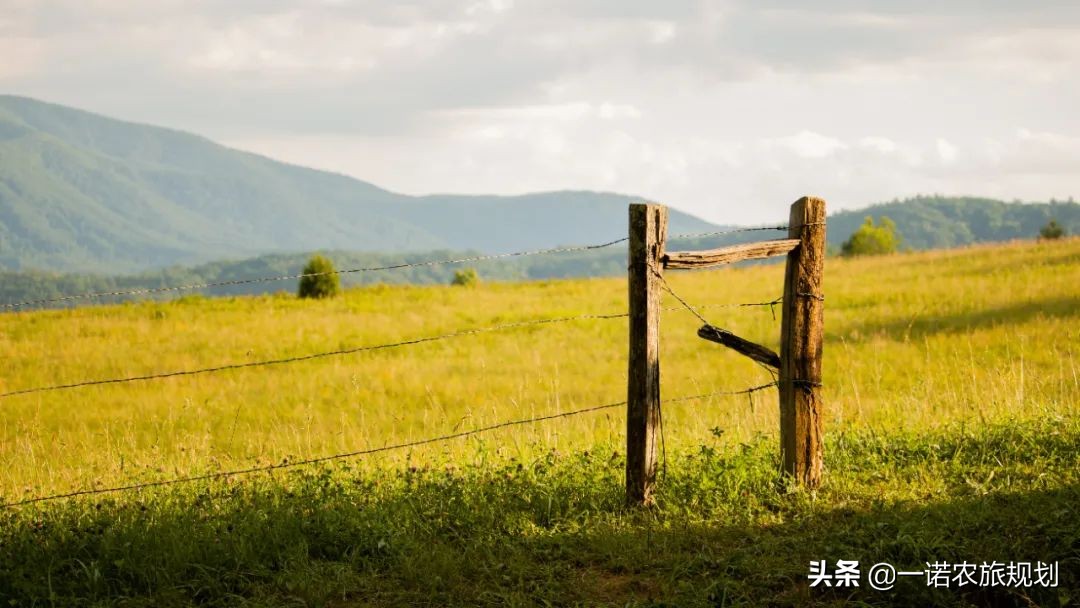 2021年鄉(xiāng)村振興重點(diǎn)補(bǔ)貼項(xiàng)目有哪些？