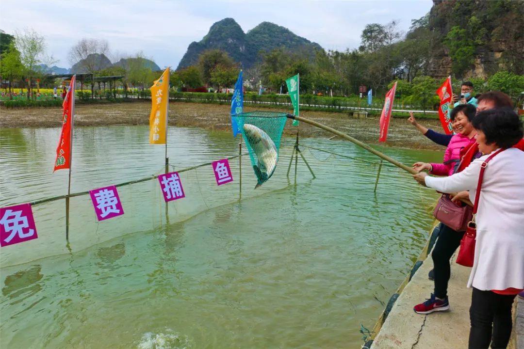 免费玩！清远这座
