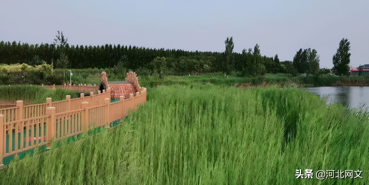 南木诗歌：秋可待