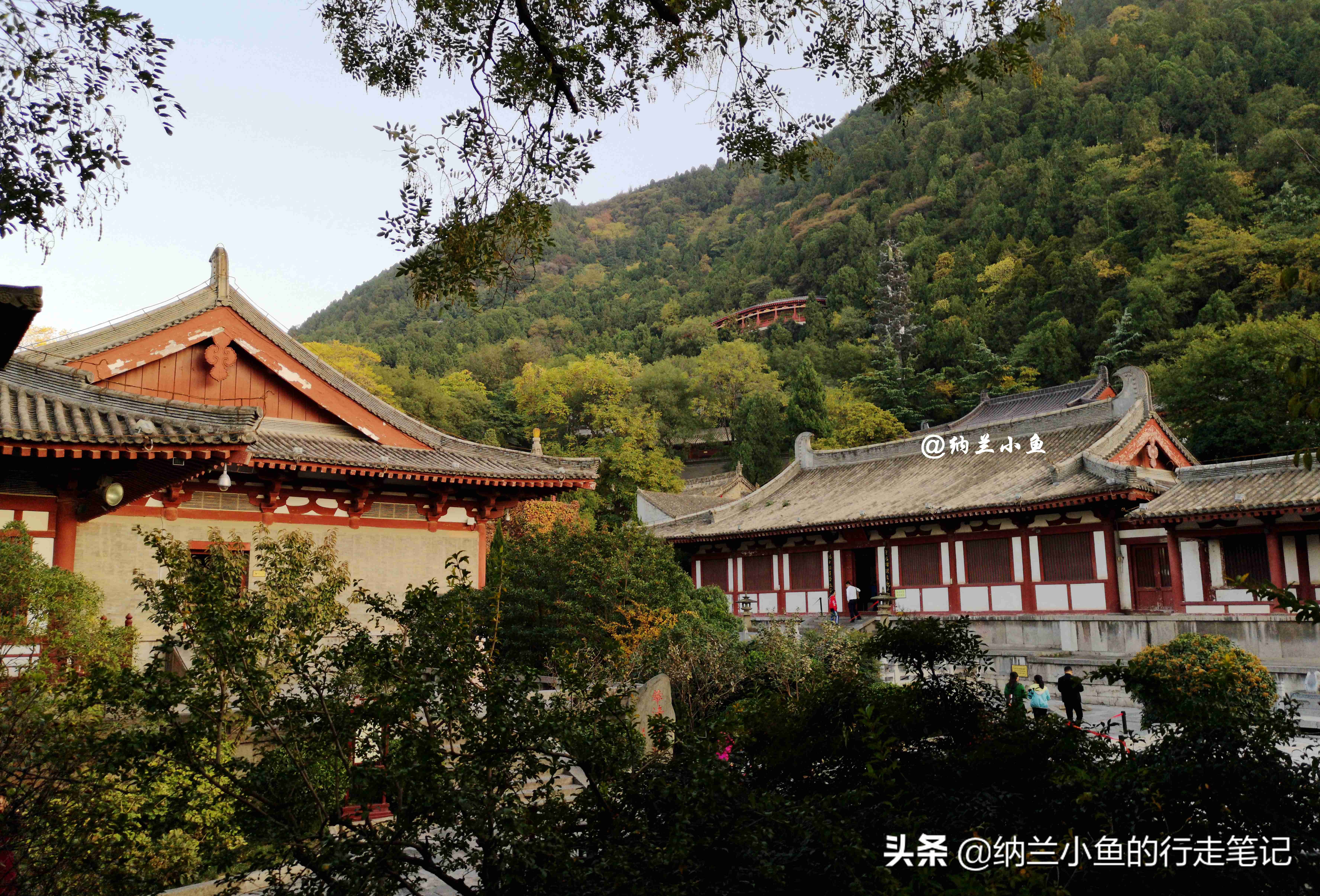 西安骊山 不仅有“天下第一御泉” 还有一段流传千年的爱情故事