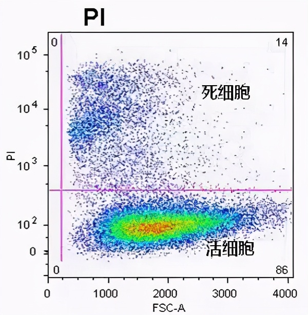 实用干货：如何用流式鉴别细胞死活