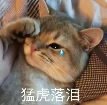 请不要再用“四海八荒第一美女”这种人设了好吗！周冬雨也翻车了