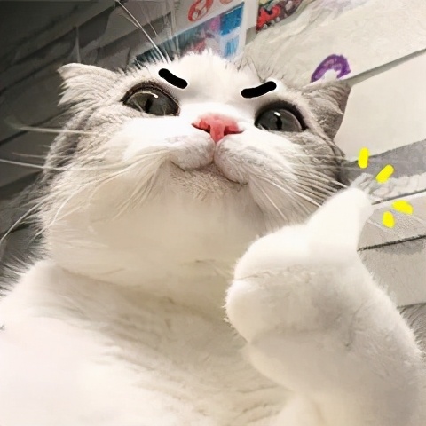 狗狗换了新主人后，会觉得伤心吗？