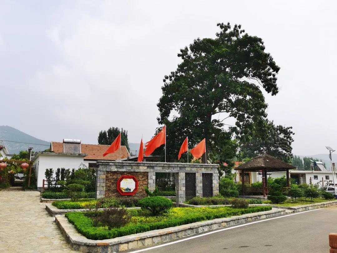 李希信到临沂市调研乡村振兴和农村人居环境整治工作
