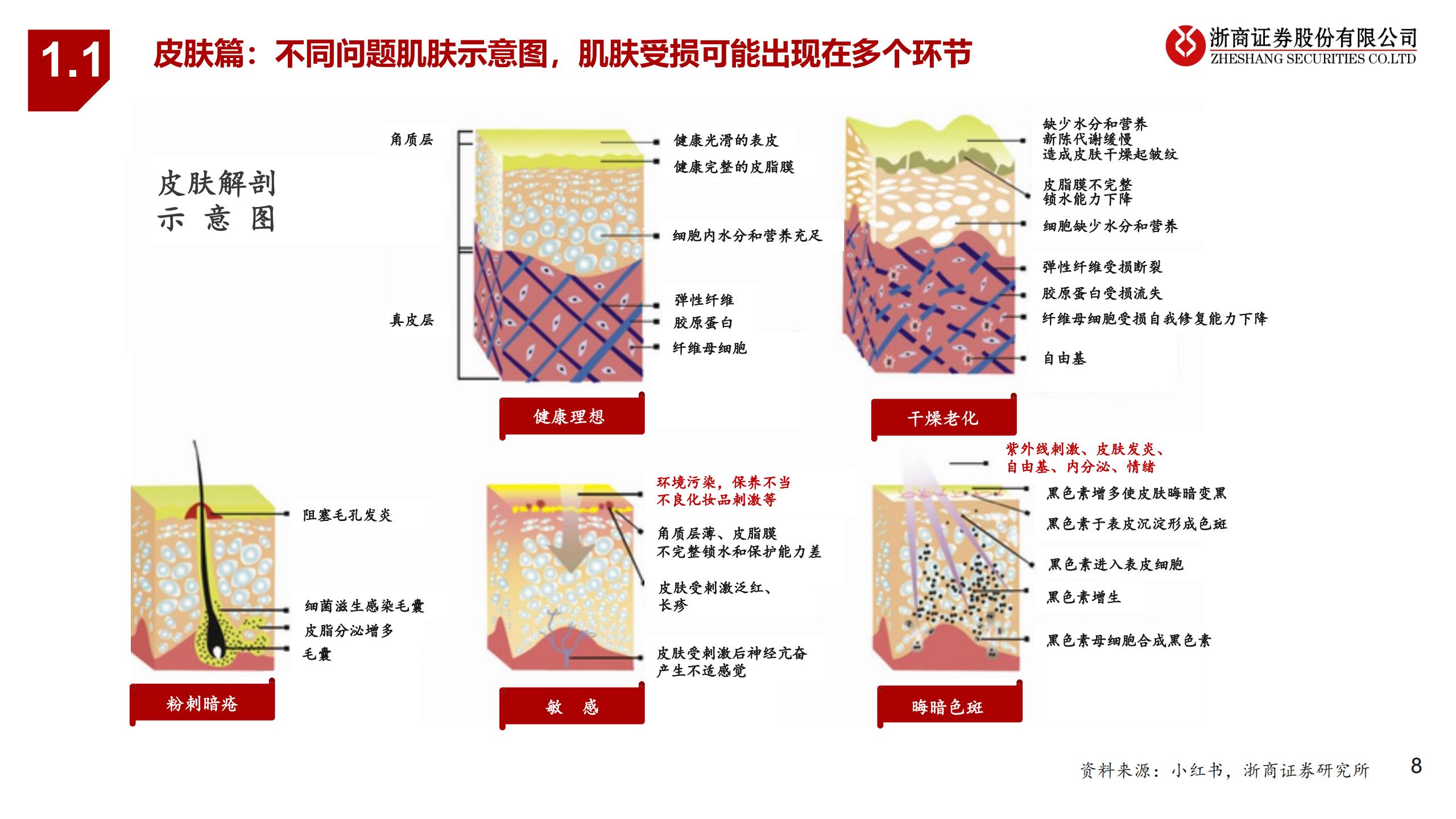 化妆品行业时代性大趋势 美妆敏感肌赛道 Mp头条
