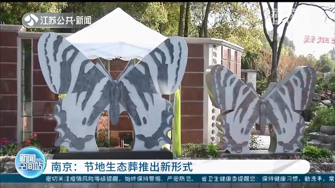 墓穴占地0.02㎡，仅有巴掌大小 南京节地生态葬推出新形式