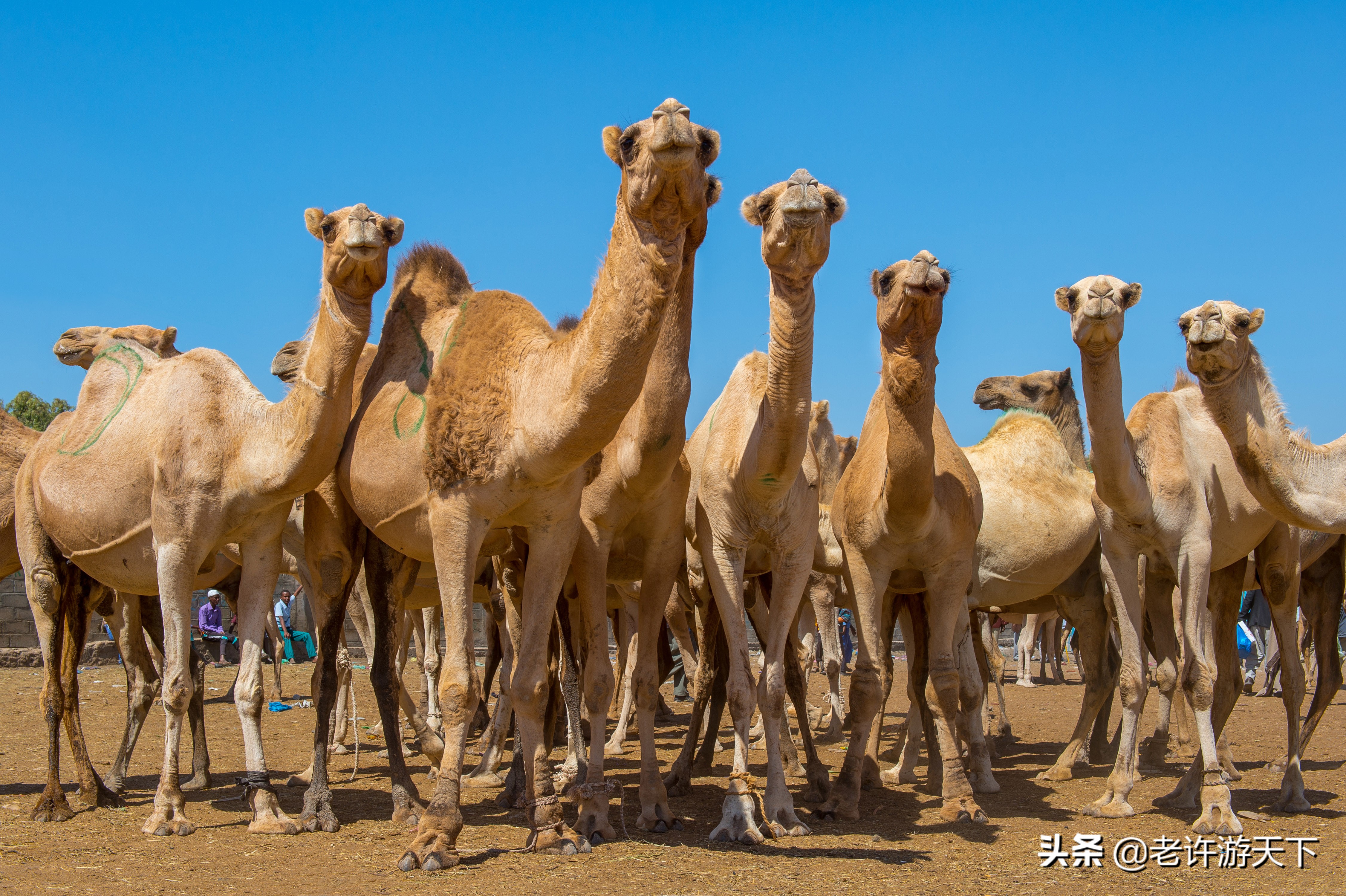 世界上最難去的10個(gè)國(guó)家和地區(qū)，邁過(guò)這些坎，周游世界就不是問(wèn)題
