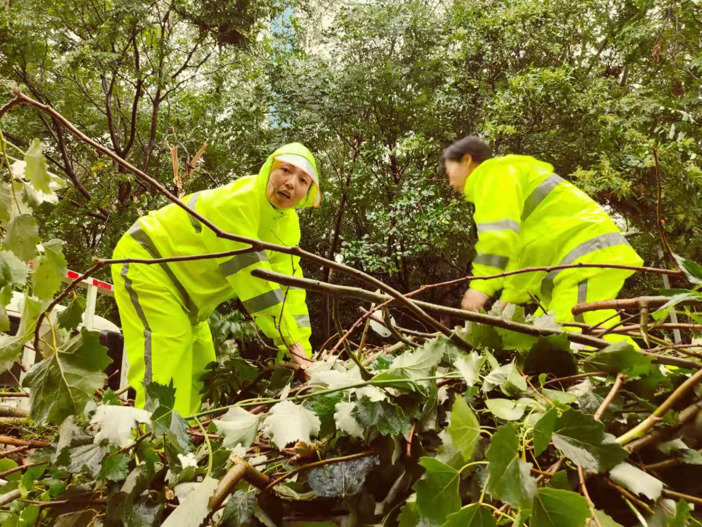 暴雨中园林抢险“女汉子”：“我是党员，绝不退缩！”