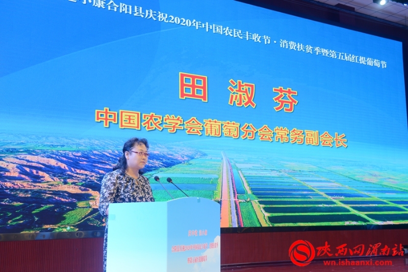 合陽縣2020年農(nóng)民豐收節(jié)暨第五屆紅提葡萄節(jié)開幕（組圖）