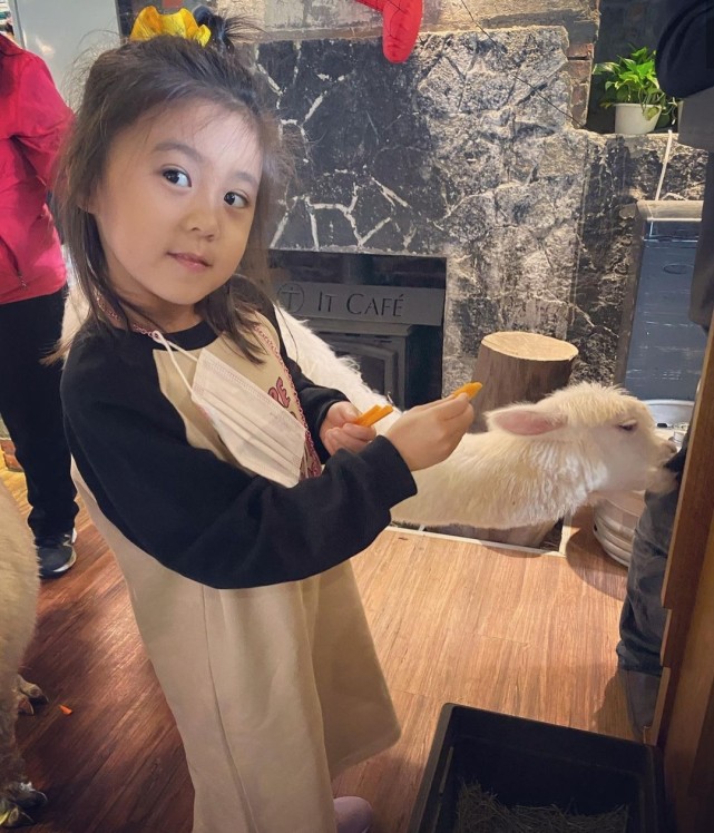 賈靜雯帶娃外出過週末，波妞熊抱羊駝超大膽，門牙脫落笑容很喜感