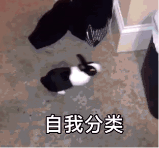 倒計時！又一個城市垃圾分類就要來了！避免罰款你需要知道這些
