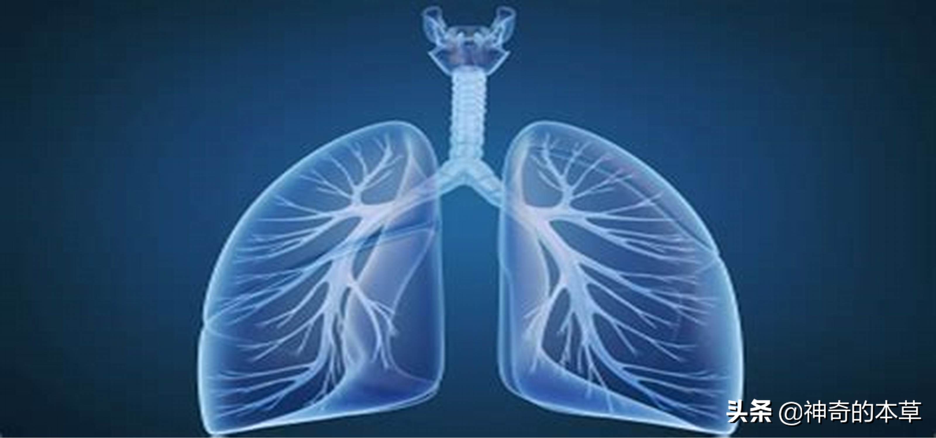 What is the cure for tuberculosis? iNEWS