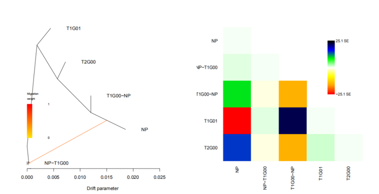 使用Treemix软件进行基因流分析简介