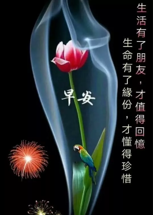 2021最美早上好问候语短信祝福带图片 朋友圈新版早晨好动态图片