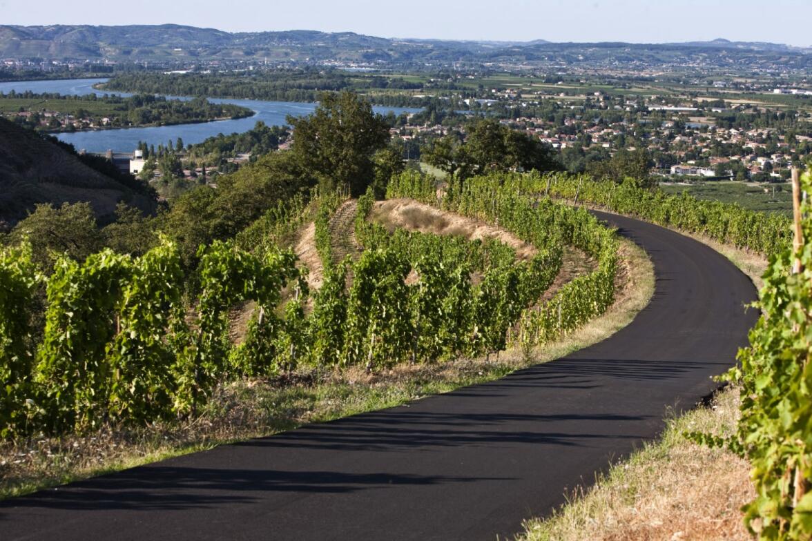 罗纳河谷：法国最大的法定红葡萄酒产区