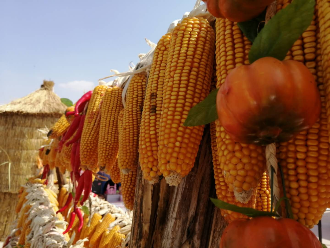 美了乡村 乐了群众 田园综合体带来新潮流