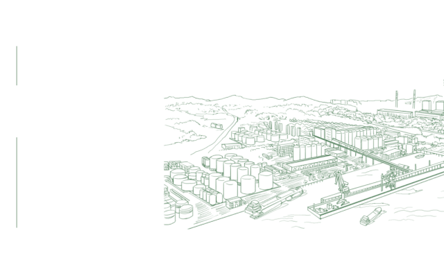 大国粮仓 中储粮成立二十载累计收购托市等政策