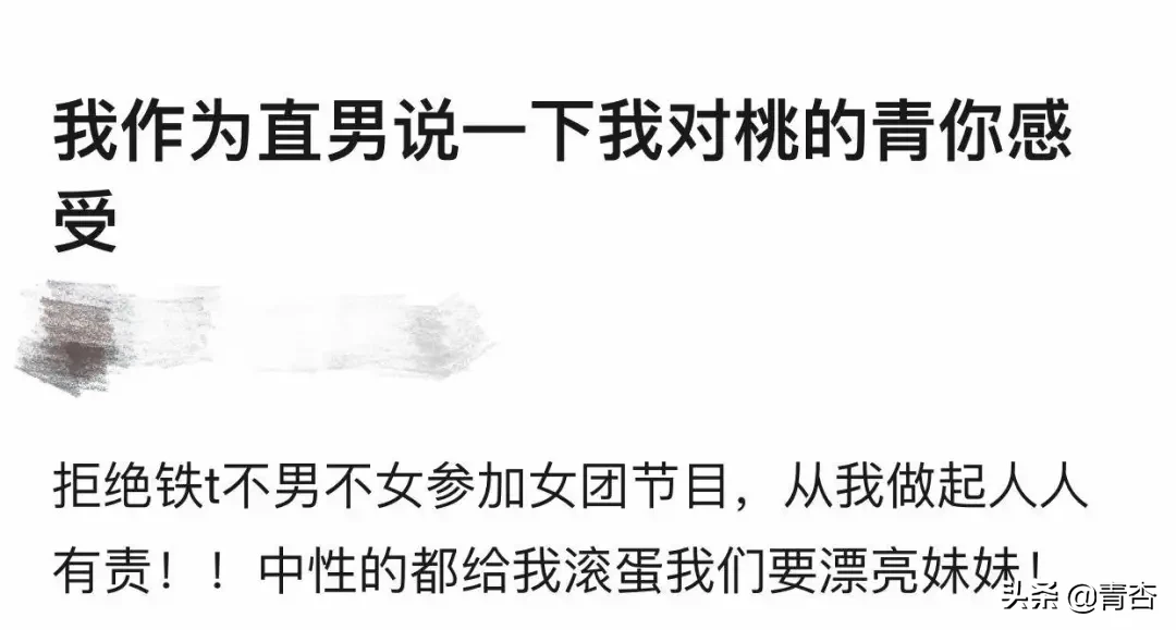 刘雨昕陆柯燃出道，我感受到了对“T”群体的攻击和恶意