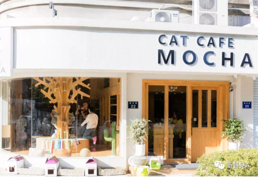 消费者在选品牌时，究竟在选择什么？