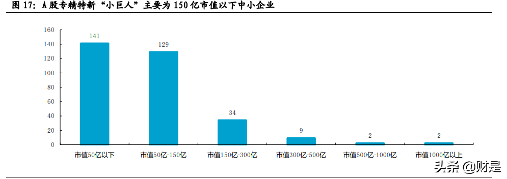 投資策略專題報告：時代的關鍵詞，專精特新