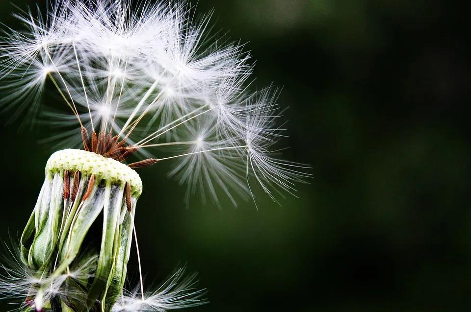 止癢神方！ 濕疹、蕁麻疹、皮膚瘙癢、皮炎，橫掃各種皮膚病