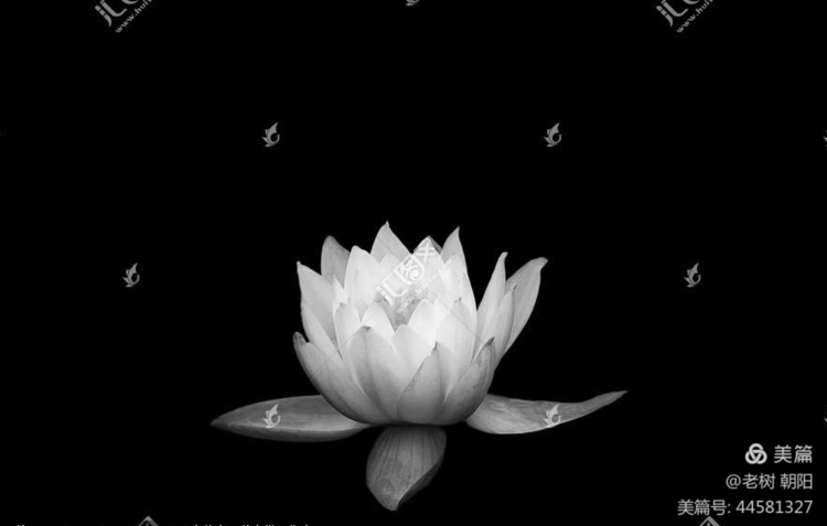 缅怀——那一年，那一天 作者：王希桥（老树朝阳）