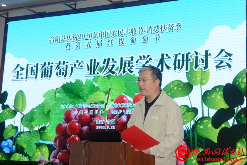 2020年全國葡萄產(chǎn)業(yè)發(fā)展學(xué)術(shù)研討會在合陽舉辦(組圖)