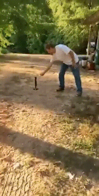 搞笑gif神评：这种技能，我应该能坚持3秒