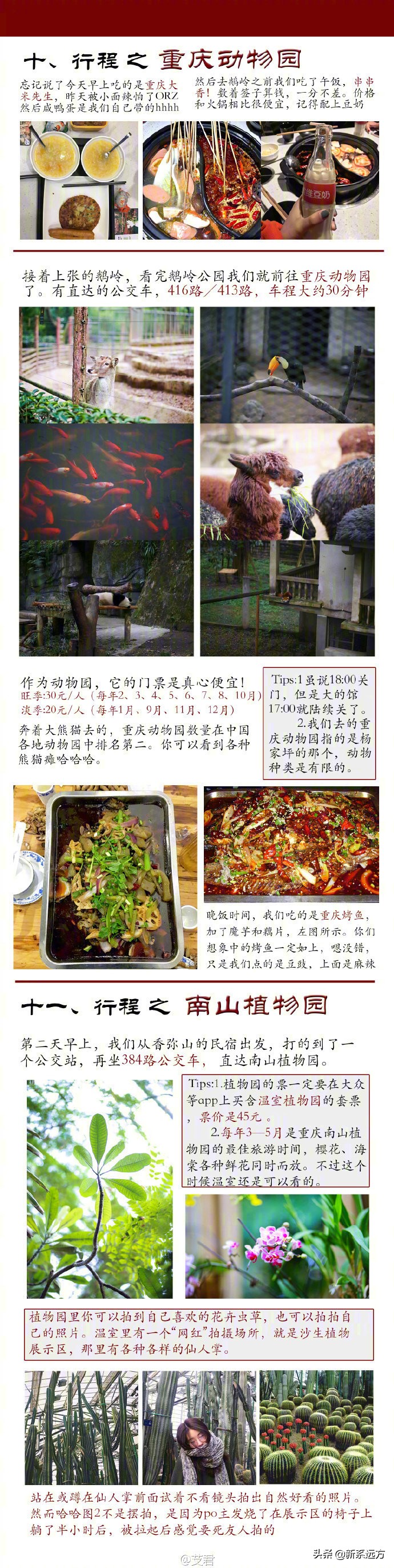 重庆旅游攻略+如何拍重庆