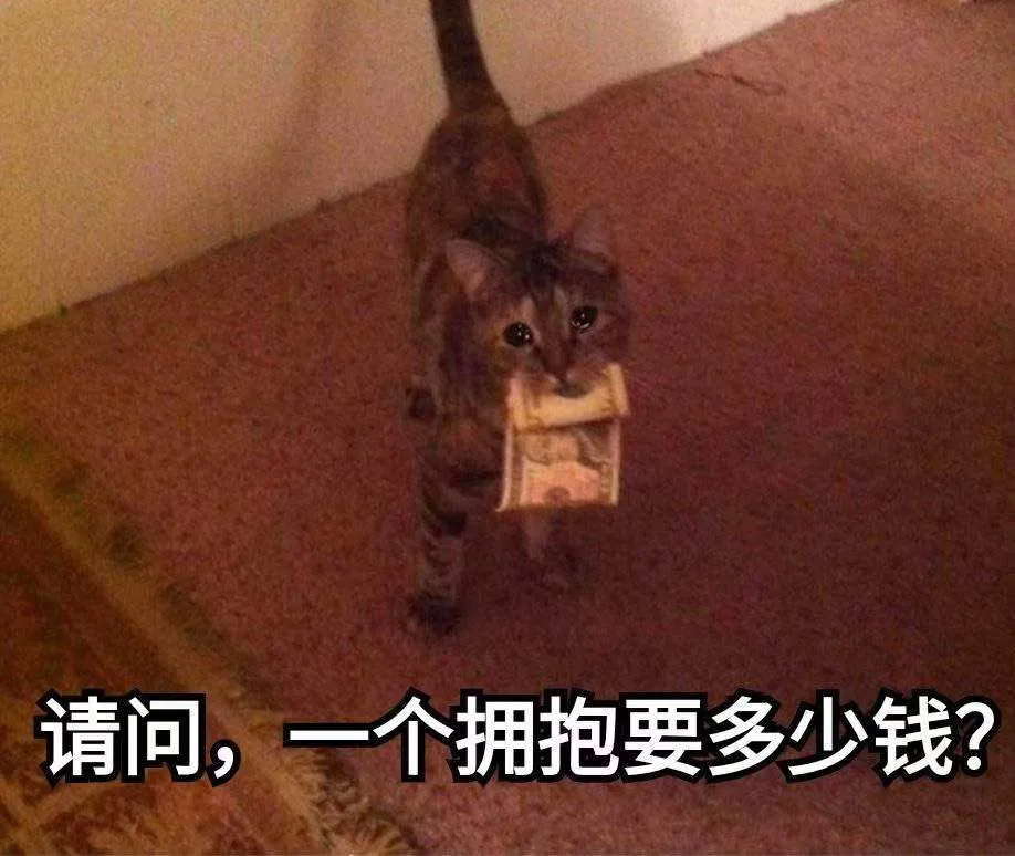 29岁去世，是谁害的？