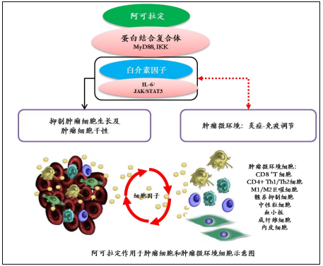 中药1类新药阿可拉定上市申请拟优先审评，一线治疗肝癌