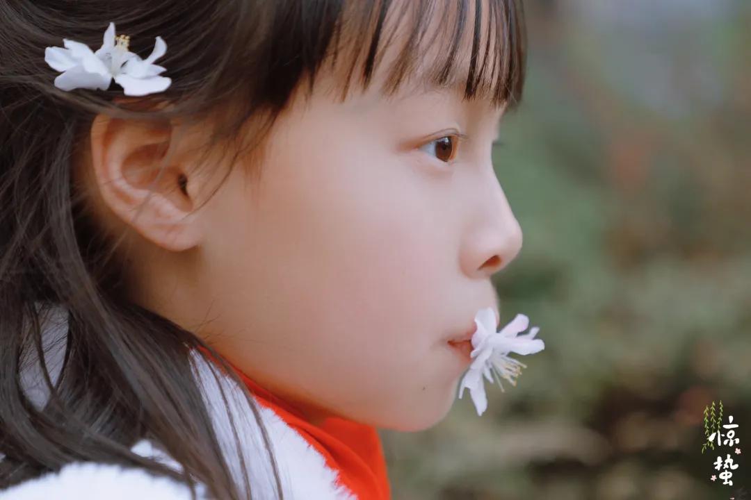 带上五官到校园里寻找春天——成都市华中附小大自然的语文课