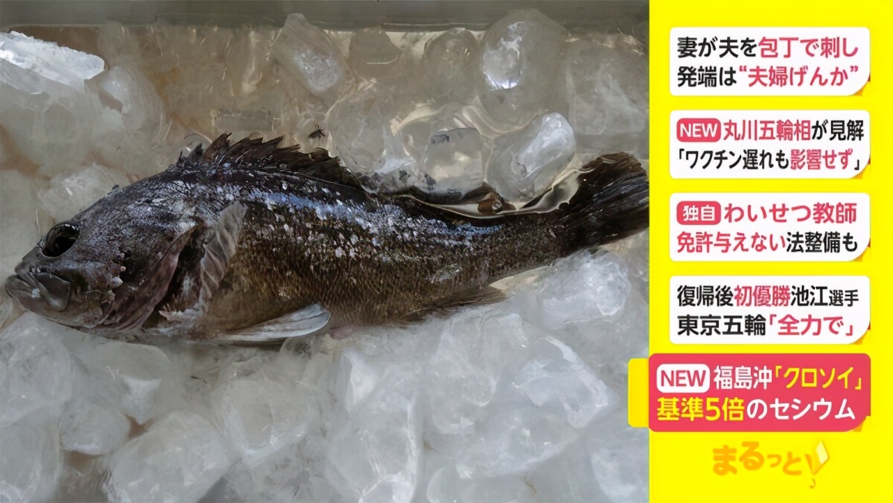 “找中国网红帮忙也没用！”继96条腿章鱼后，韩国发现32条腿章鱼