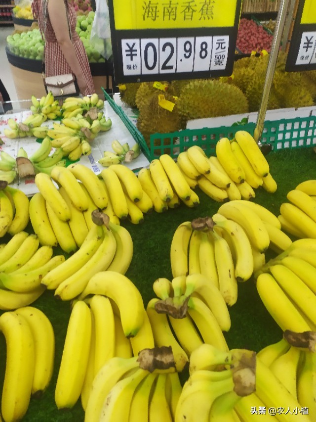 想知道市面上热销的水果价格吗？这里统统告诉你