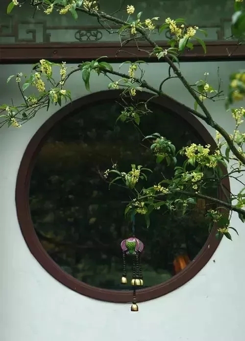 �����˼Һô���