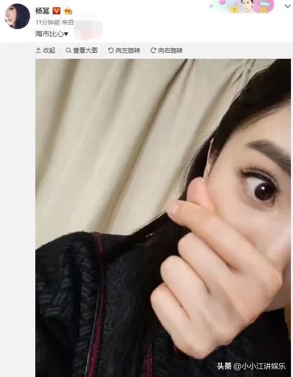 魏大勋520送999朵玫瑰给杨幂，双方默认恋情，坐