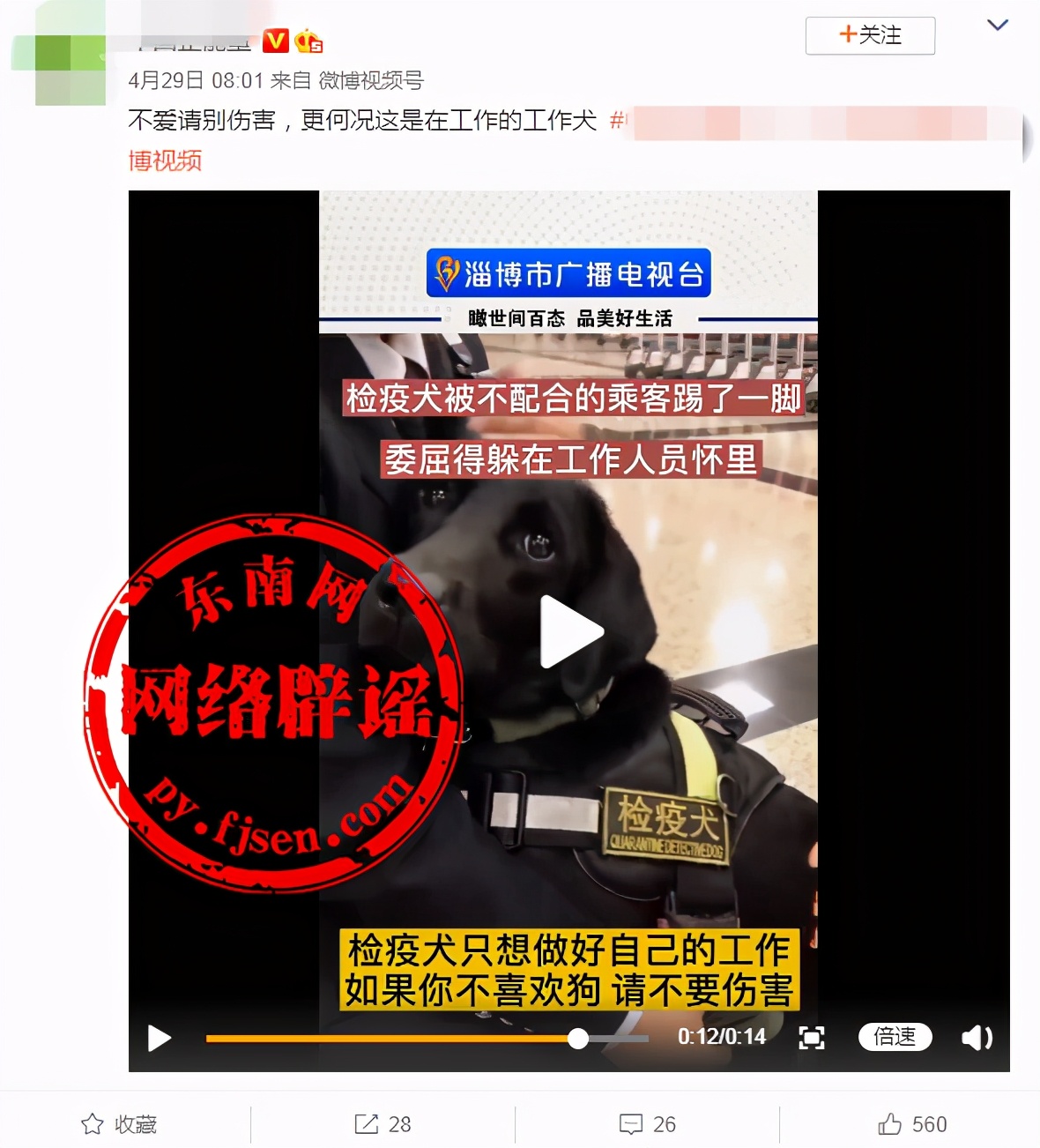 检疫犬被乘客踢了一脚委屈得躲在工作人员怀里？并非事实