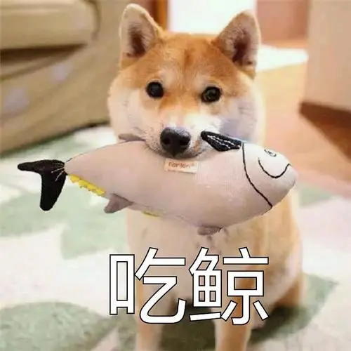 关于社保中的生育险,你想知道的都在这里 第2张 关于社保中的生育险,你想知道的都在这里 第2张